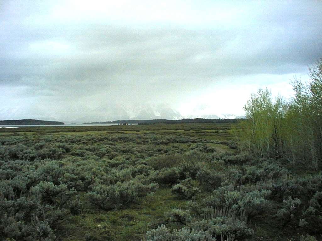 Landscape.jpg (81337 bytes)