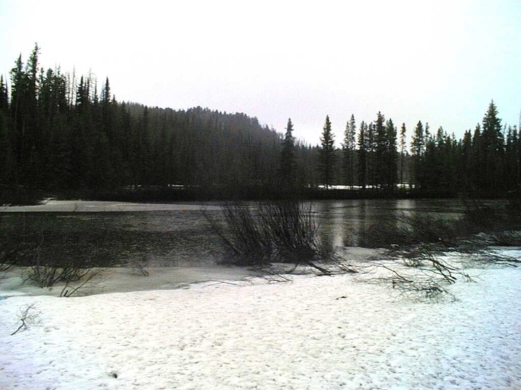 Scenery.jpg (70908 bytes)