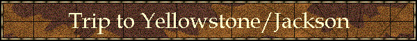 Trip to Yellowstone/Jackson